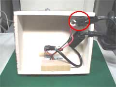 �����猩��ƁE�E�E